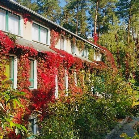 Pension Zur Fledermaus Waren (Mueritz) Exterior foto