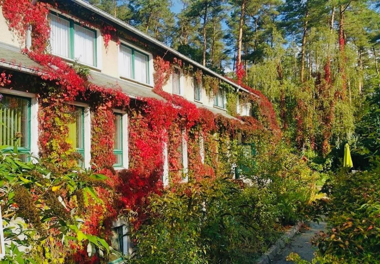 Pension Zur Fledermaus Waren (Mueritz) Exterior foto